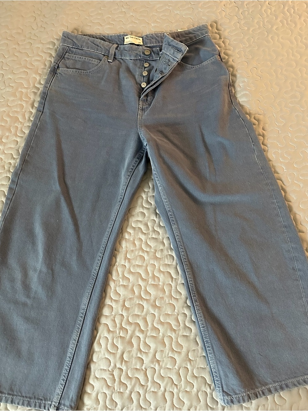 We The Free Button-Fly Wide Leg Jeans in Ocean Blue
